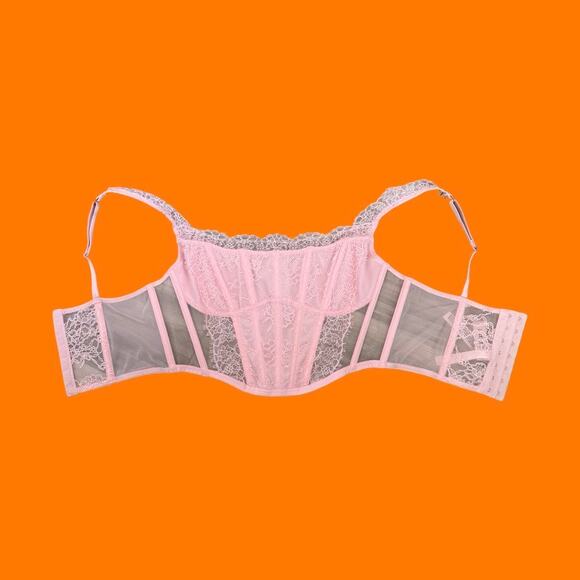 Victoria's Secret Pink Lace Bustier Corset Top NWT Medium Fairy Coquette - Picture 5 of 6